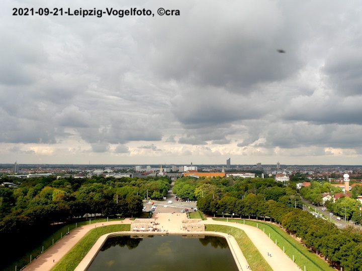 2021-09-21-leipzig-vogelfoto-a