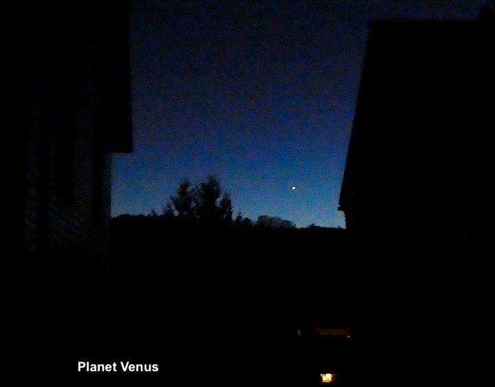 2021-12-venus-a