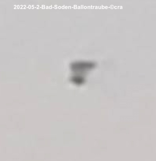 2022-05-2-bad-soden-ballontraube