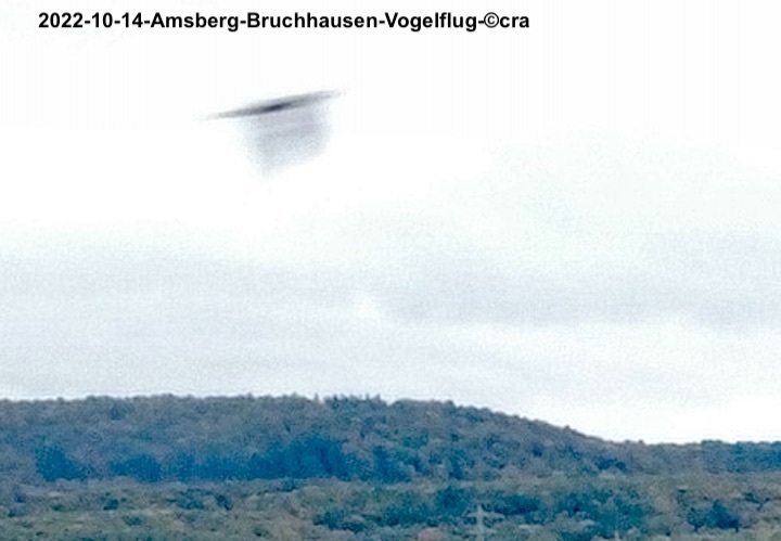 2022-10-14-amsberg-bruchhausen-vogelflug-1