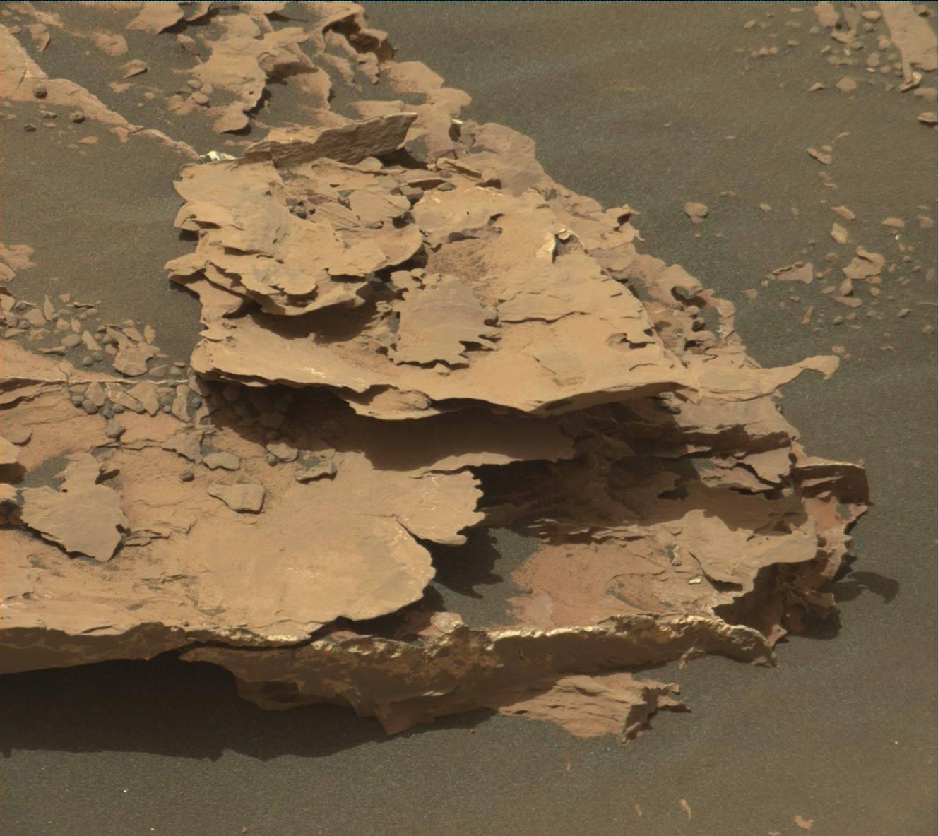 2061mr0109280010903694e01-dxxx