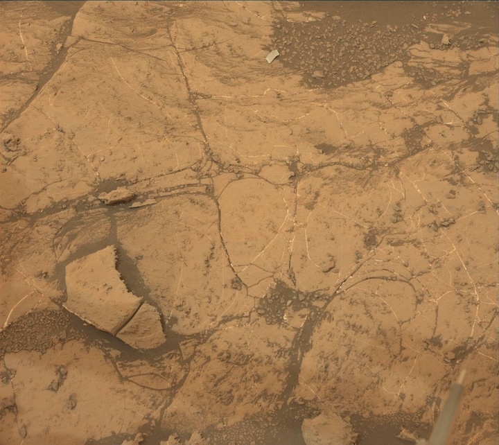 2138ml0114730030802938e01-dxxx