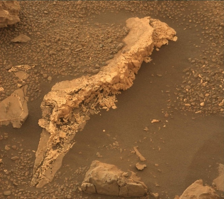 2146mr0115300000205193e01-dxxx