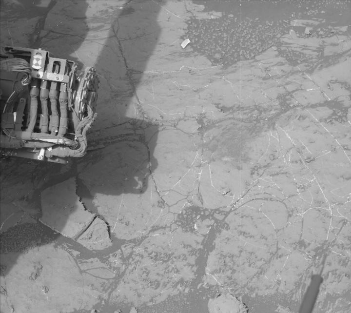 2153ml0115930030803129d01-dxxx