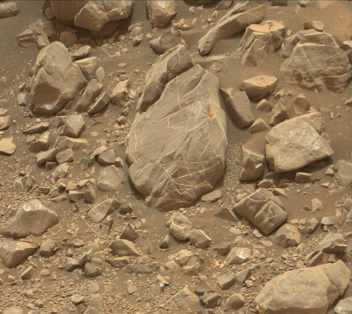 2163mr0116470000205541e01-dxxx