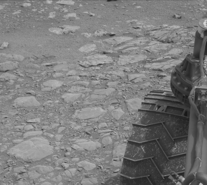 2166ml0116670890803836c00-dxxx