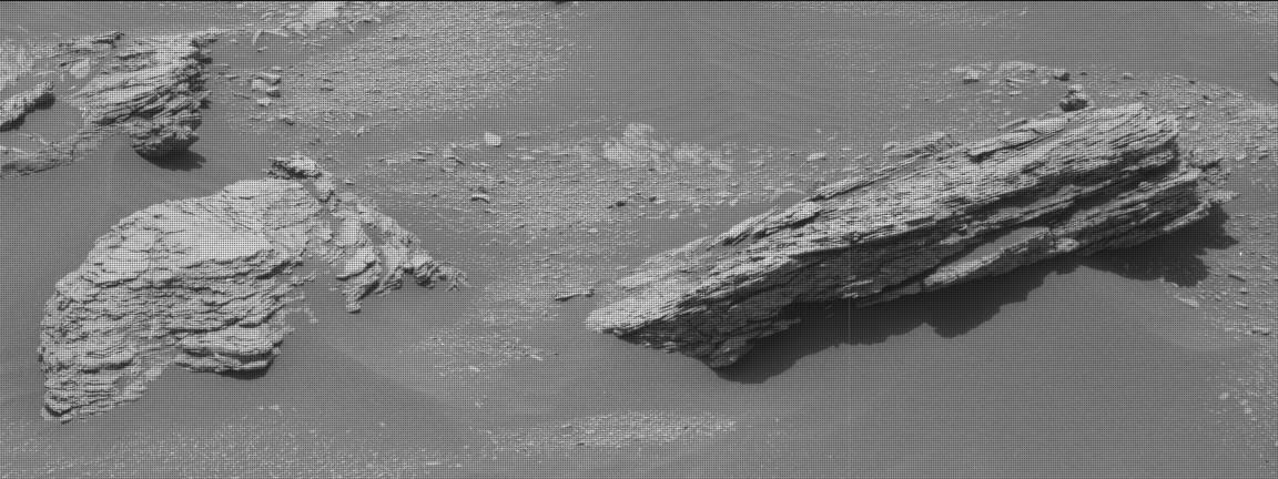 2339ml0124290020406599c00-dxxx-1