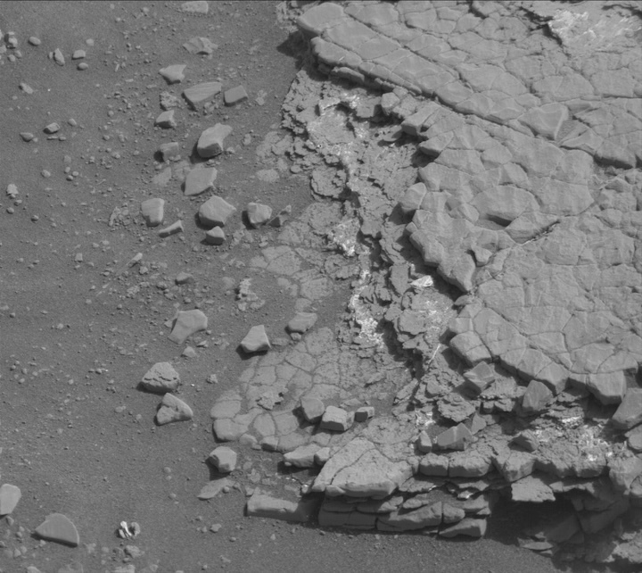 2424mr0128410211002896c00-dxxx