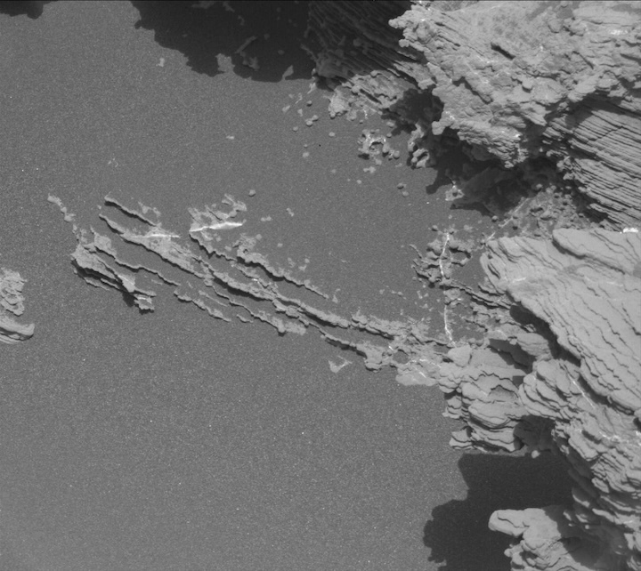 2441mr0129490521003363c00-dxxx