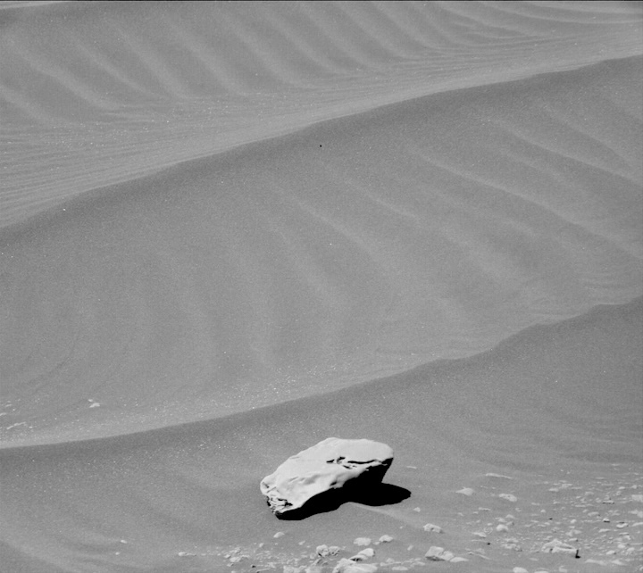 2595mr0136450191100825c00-dxxx