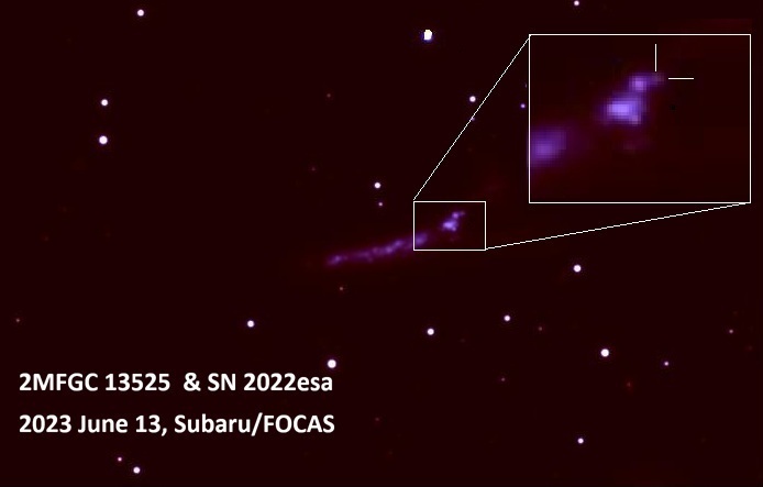 2601-main-maeda-sn2022esa-image