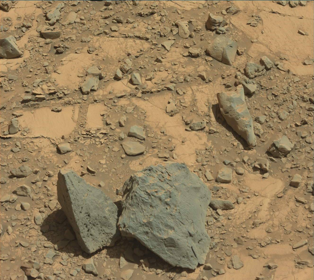 2633ml0137930051000918e01-dxxx