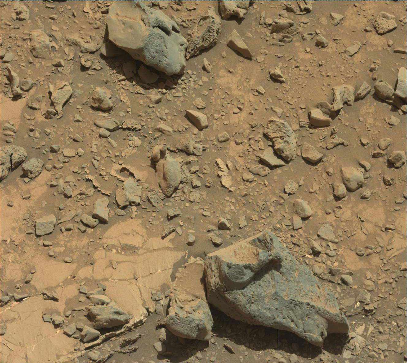 2633ml0137940001000919e01-dxxx