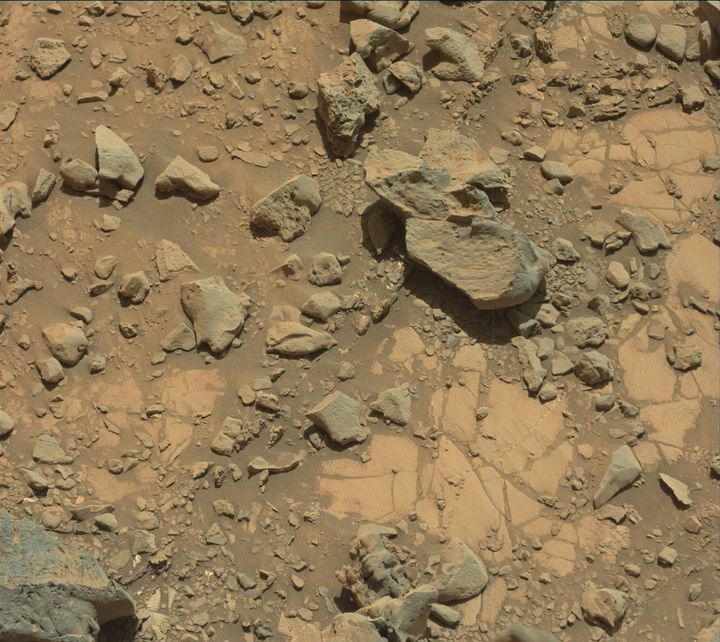 2633ml0137940011000920e01-dxxx