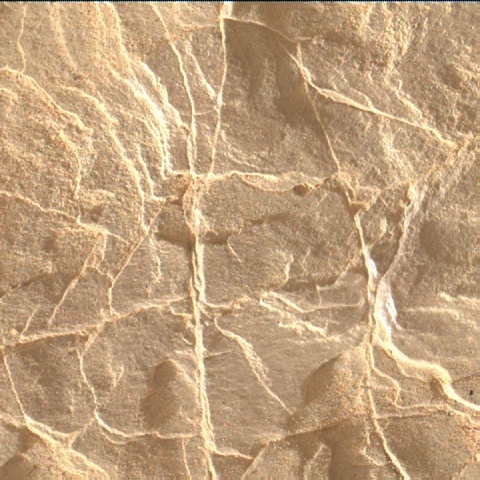 2935mh0007060001003929c00-dxxx