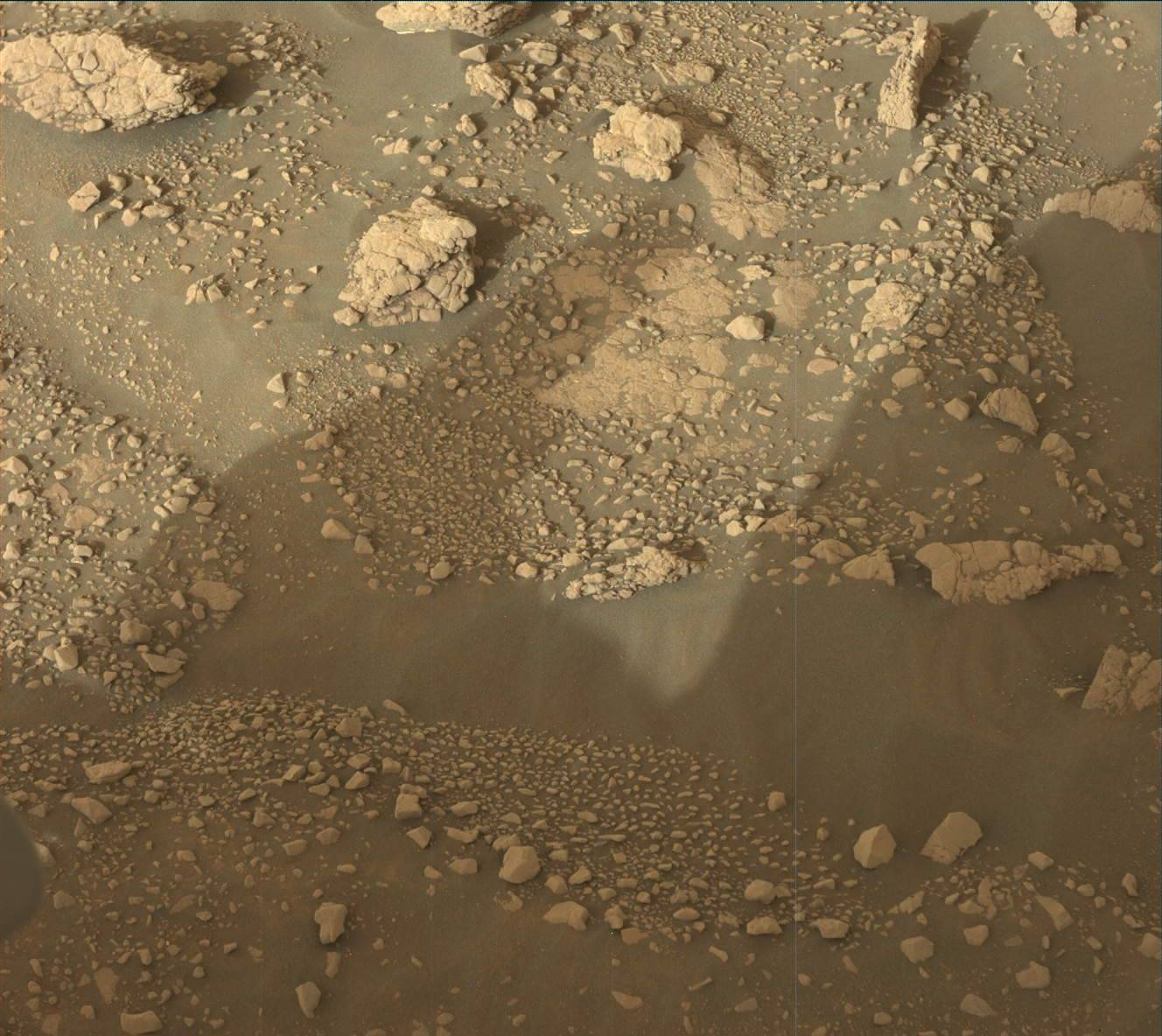 3005ml0156670031005645e01-dxxx