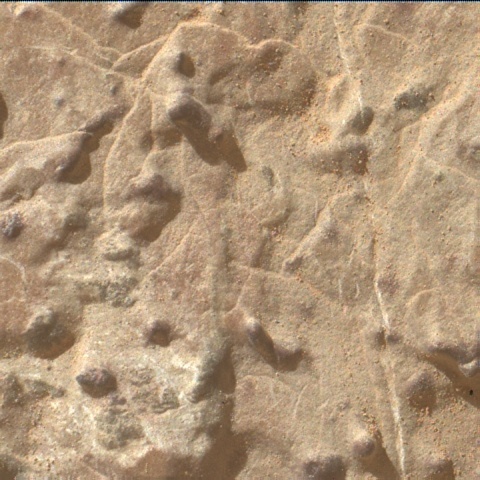 3037mh0007630001100829c00-dxxx
