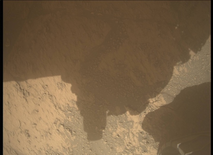 3195md0011890000202575e01-dxxx