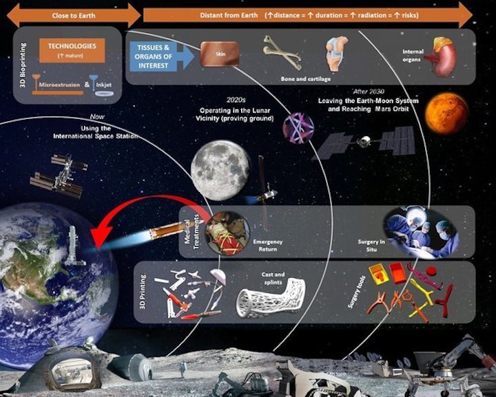 3d-bioprinting-for-space-large