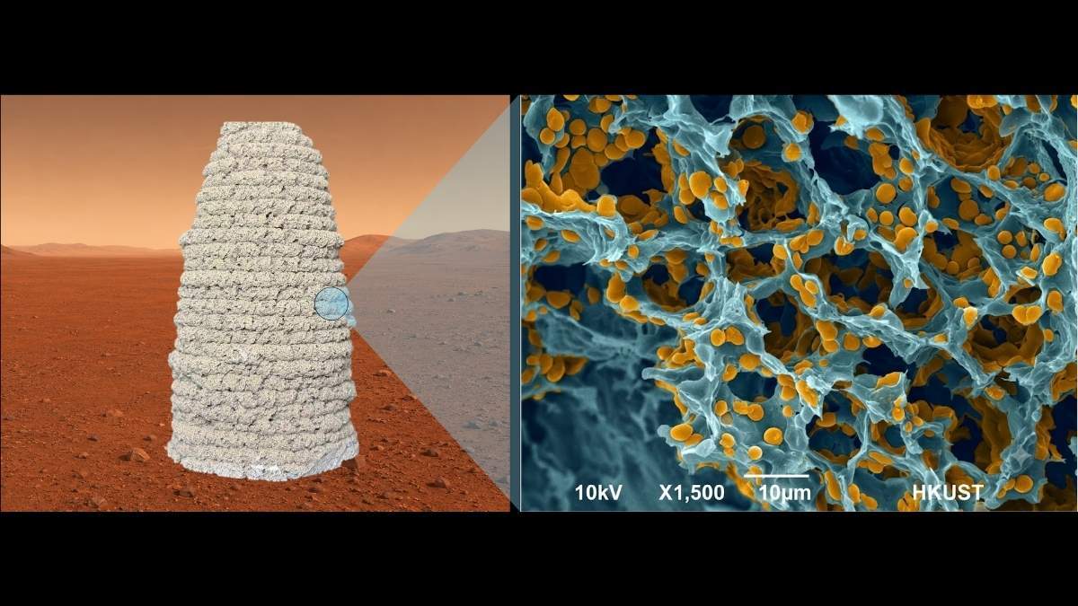 3d-printed-martian-living-building-material-left-and-the-material-s-porous-structure-with-polymers-b