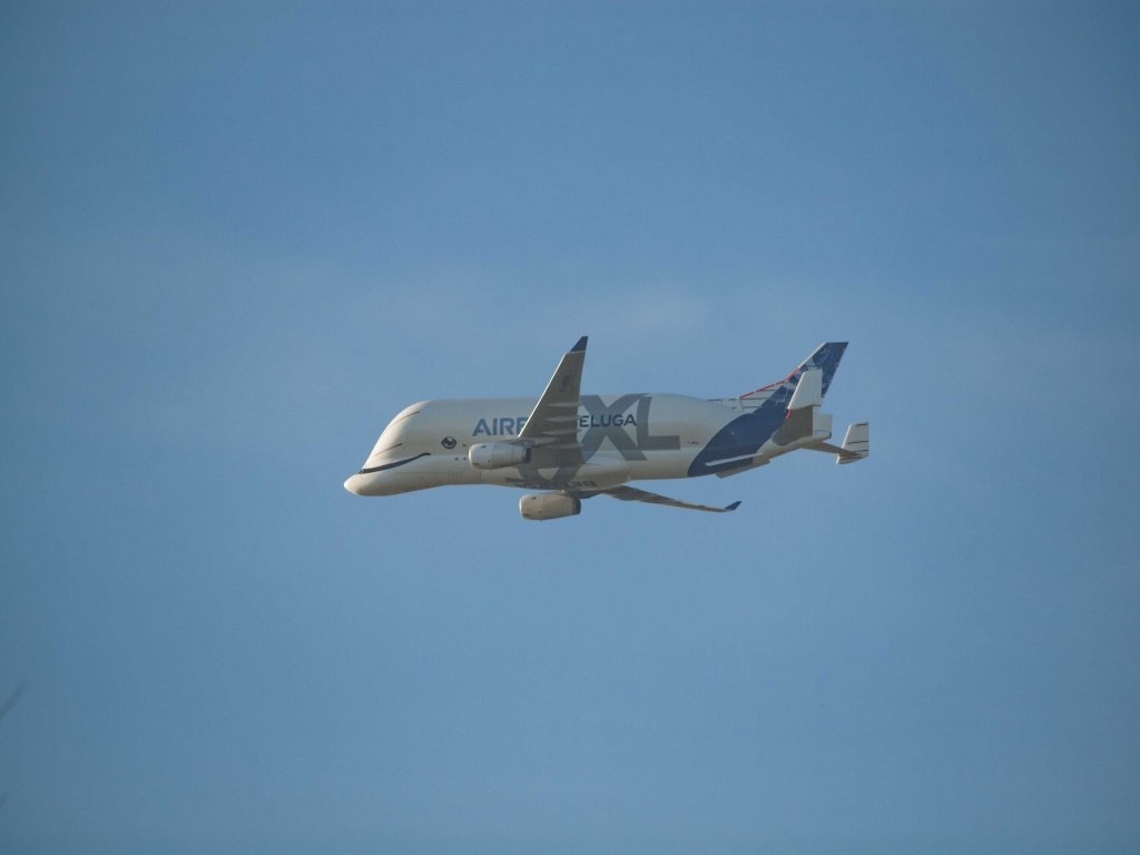 airbus-beluga-a