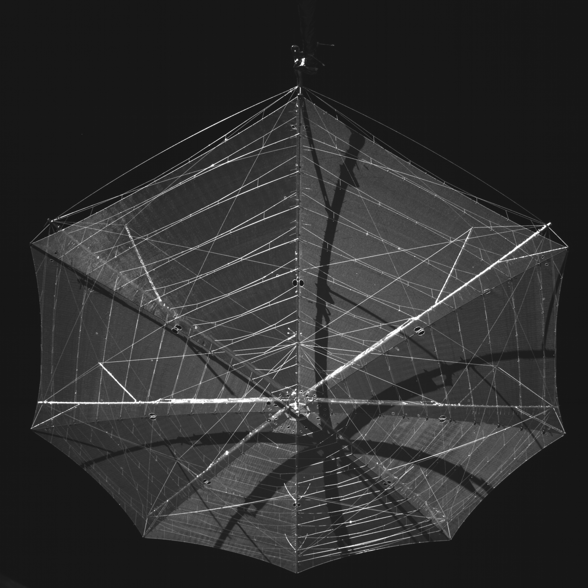 biomass-antenna-reflector-deployed-pillars