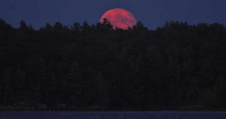 bluebook-moon-ufos