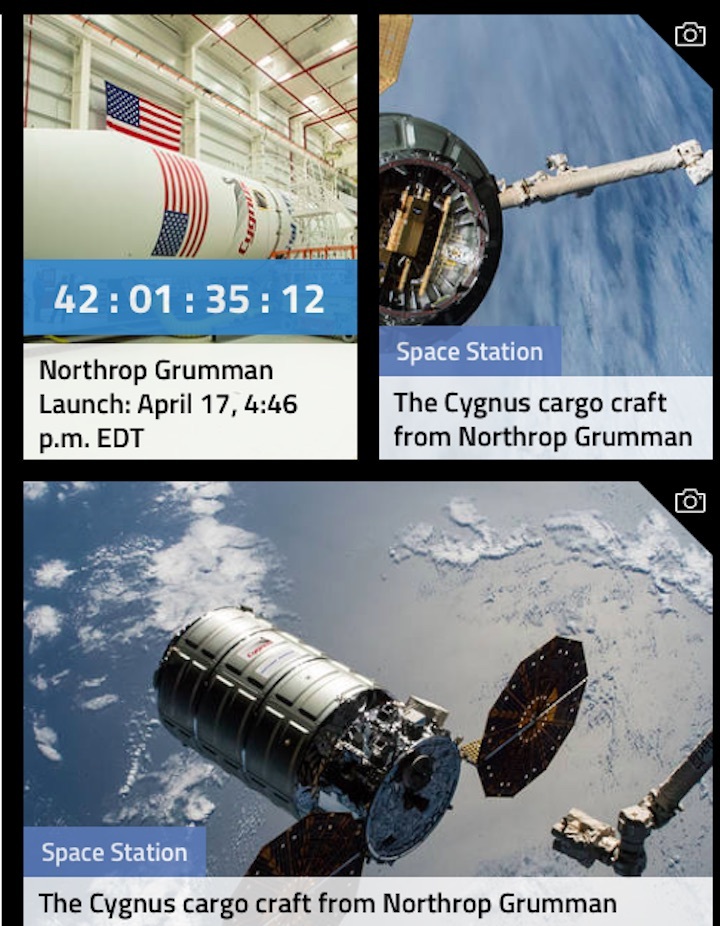 cygnus-11