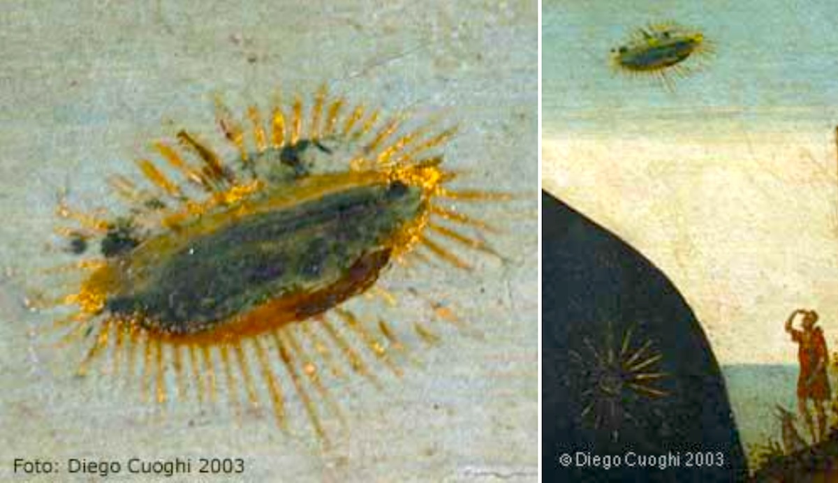 diego-cuoghi-maa