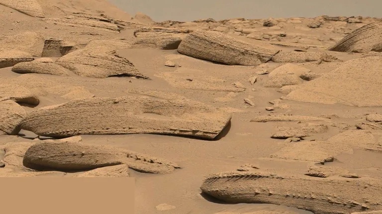 drachenknochen-oder-fischgraeten-diese-seltsamen-formationen-hat-der-rover-curiosity-auf-dem-mars-en