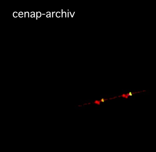 flugspur-cenap-archiv