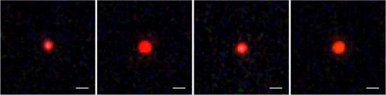 four-comparison-lrds-z6-5000ly
