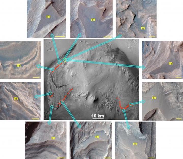 fp-fig-1-weitz-markerbed-pressrelease-figure1-copy