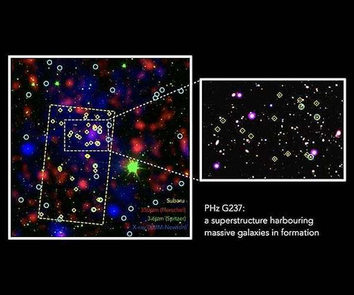 g237-protocluster-massive-galaxy-shipyard-xmm-spitzer-subaru-vista-lbt-hg