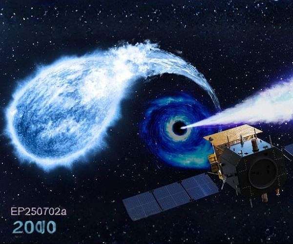 hku-einstein-probe-black-hole-white-dwarf-hg
