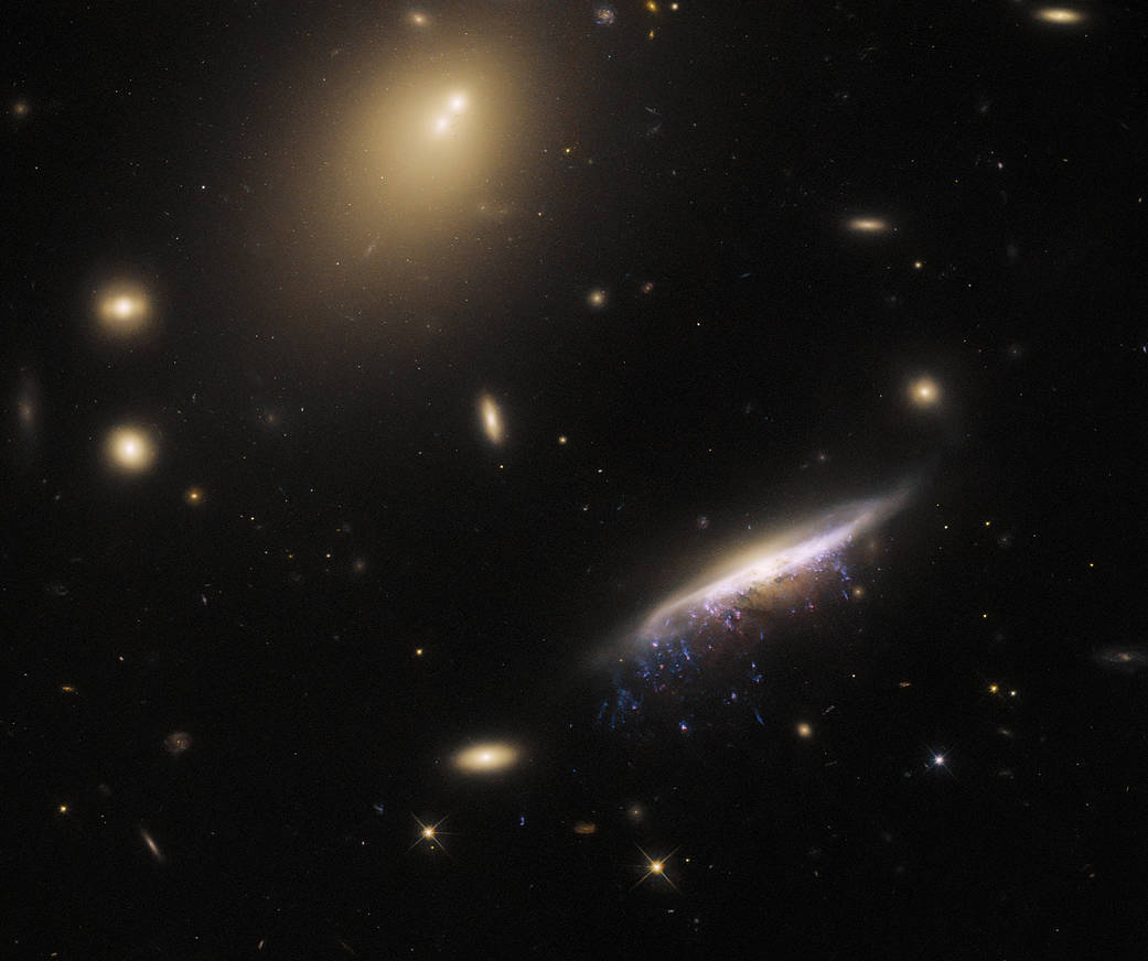 hubble-jw100-potw2312a