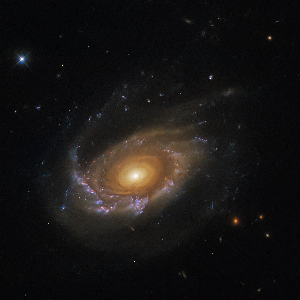 hubble-jw39-potw2321a