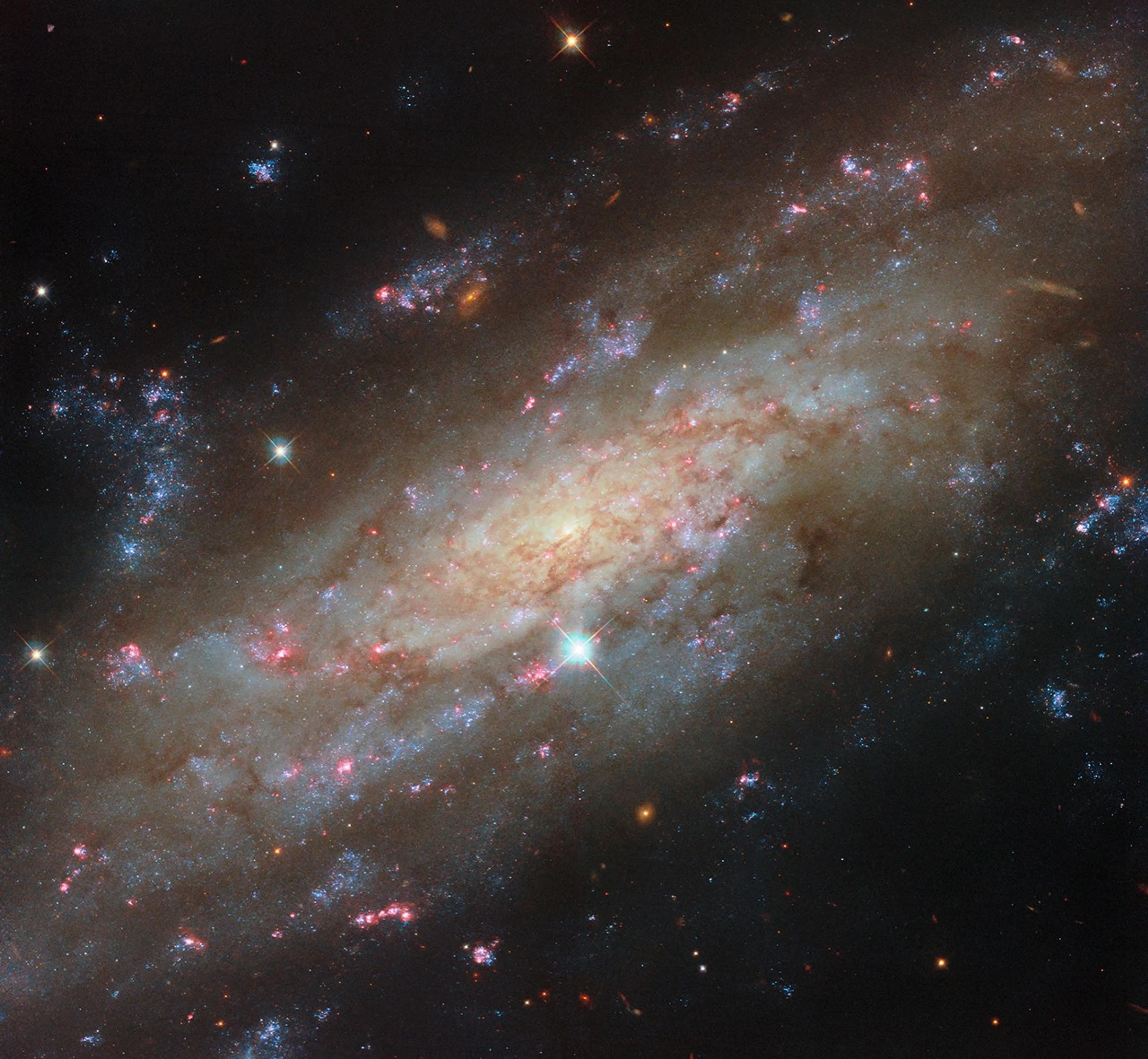 hubble-ngc3137-potm2604a