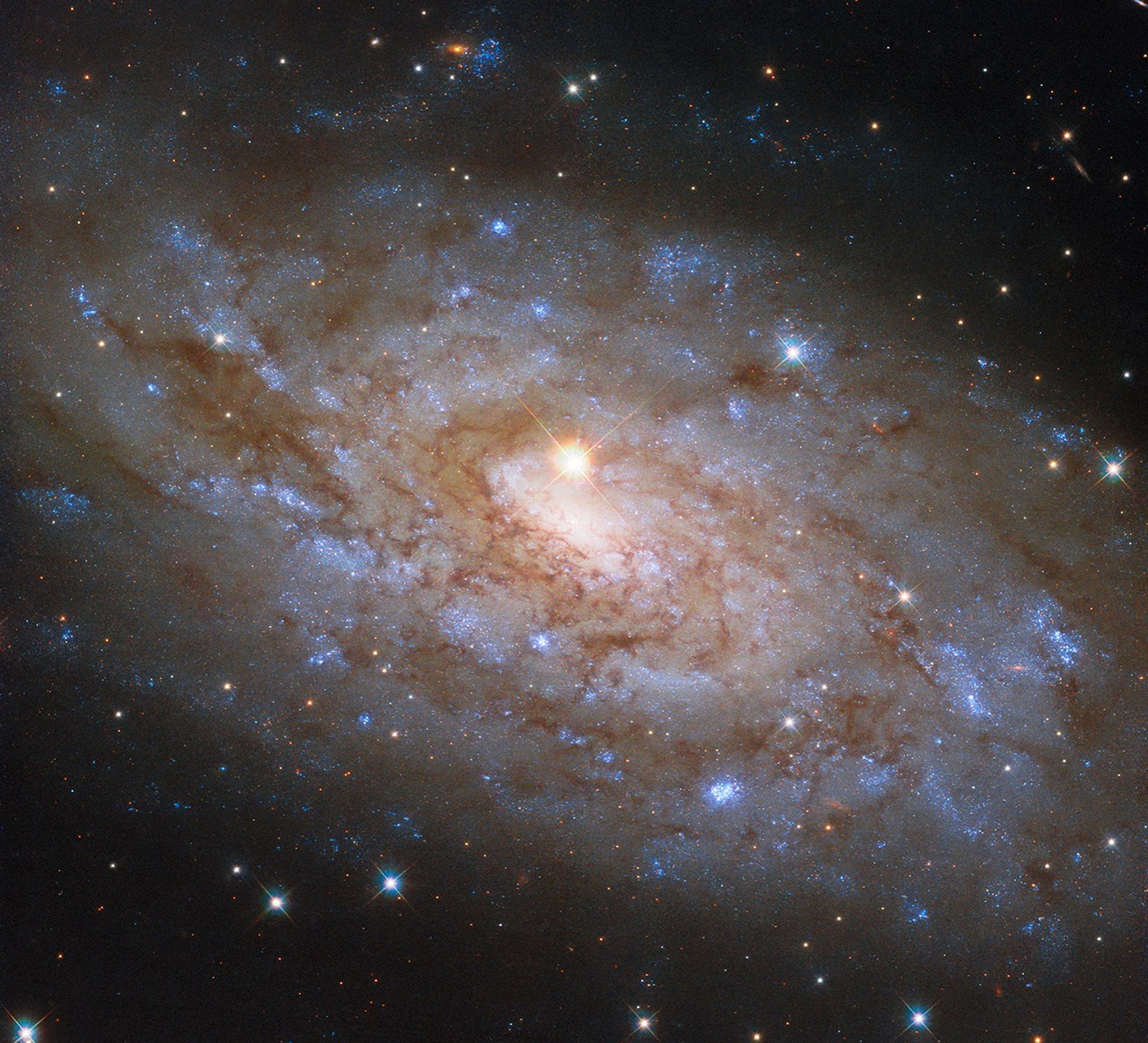 hubble-ngc5530-potw2512a