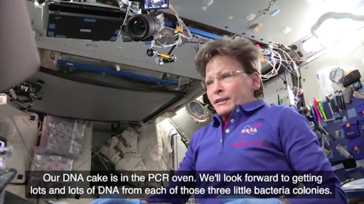 iss-dna-found-ab