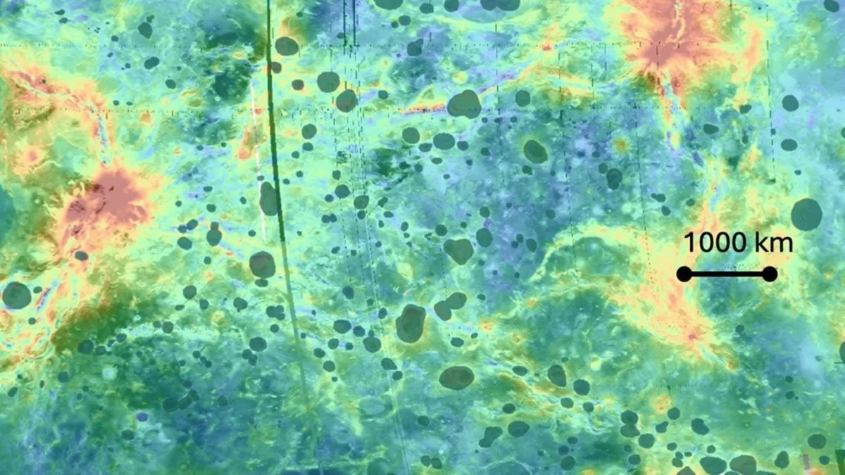 jkf8rhvzcvdfp4afqgyzzm-1200-80