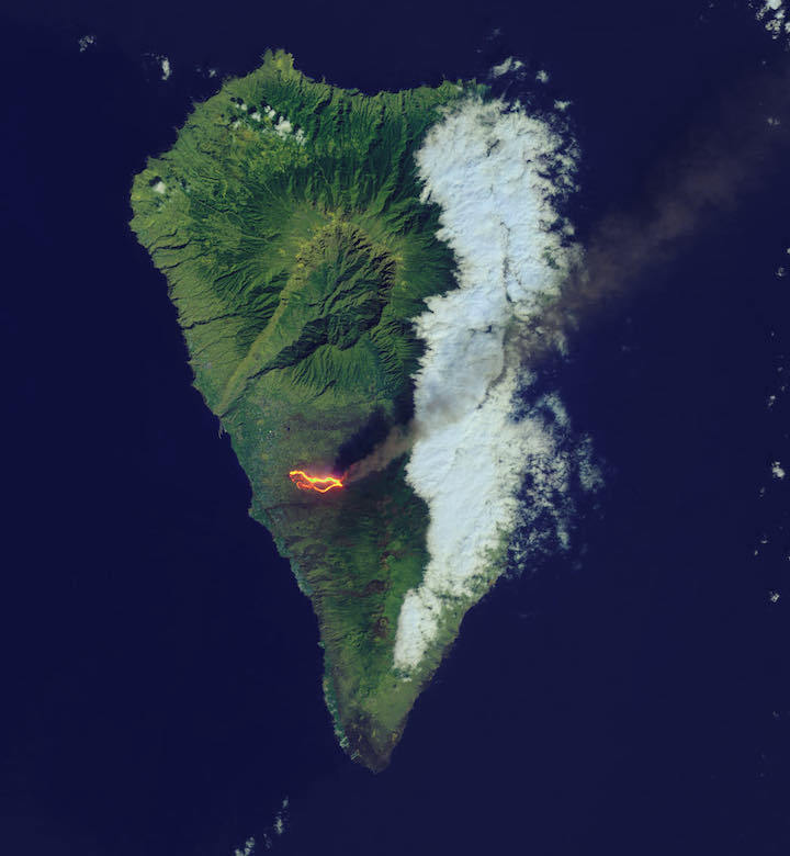 l8-oli-lapalma