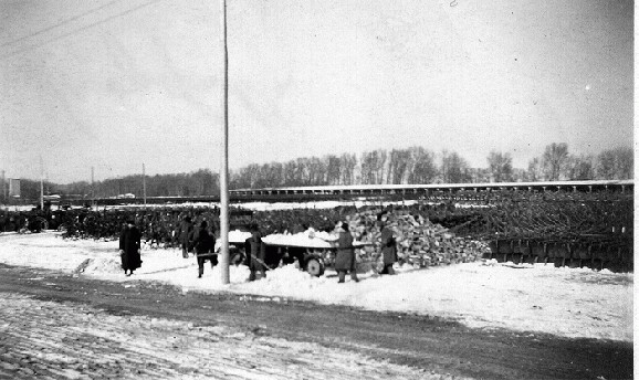 031-Lagergelände - Wien-Lobau