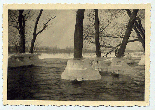 037-Donau-Hochwasser und Minus 25 Grad Celcius - Lagergelände Wien-Lobau