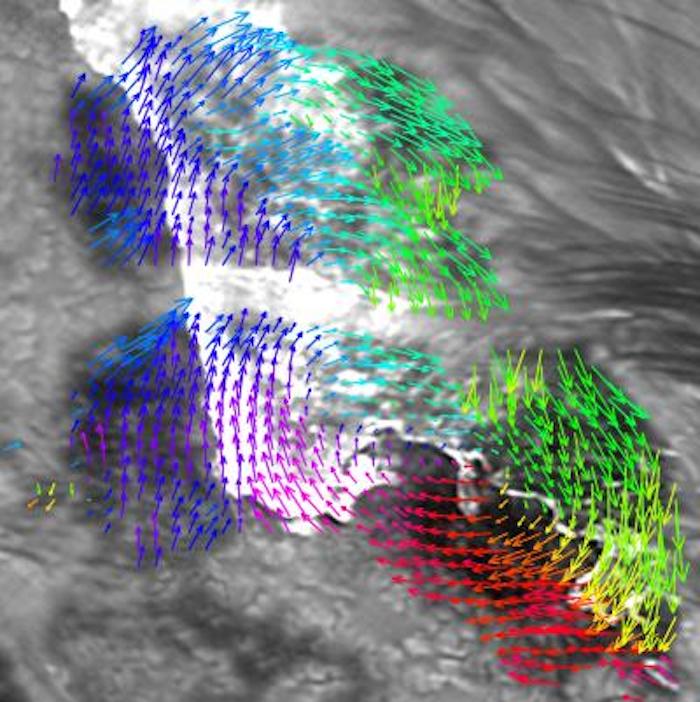 liu-sunspot-rotations