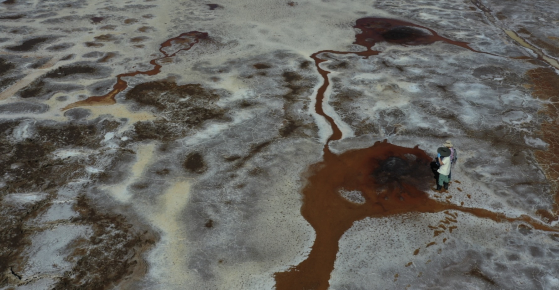 mars-china