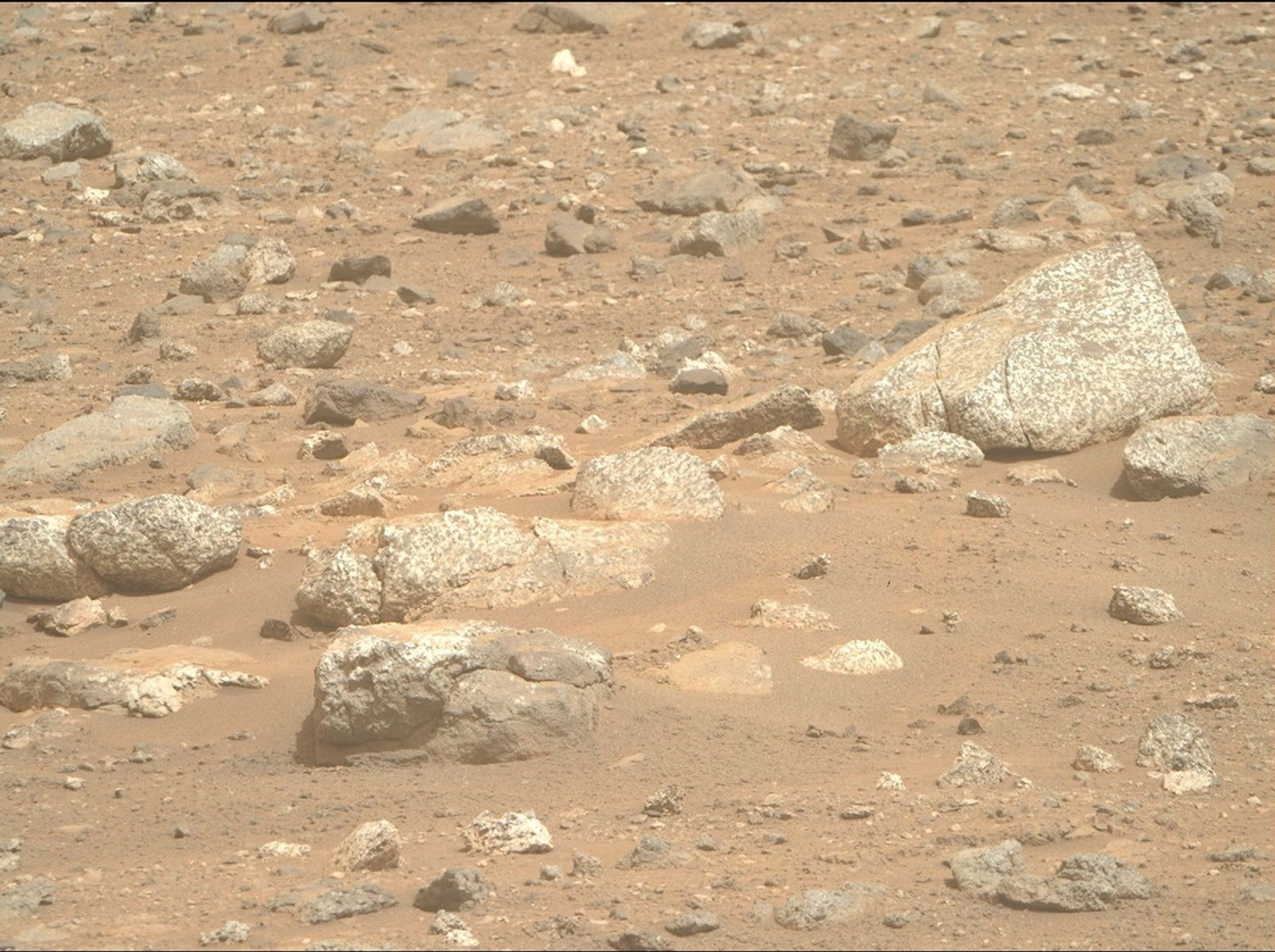 mars-perseverance-zr0-1965-0841379465-206eby-n0910606zcam04453-1100lmj