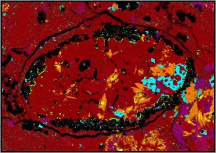 meteorite-micrograph-amphibole-crystals