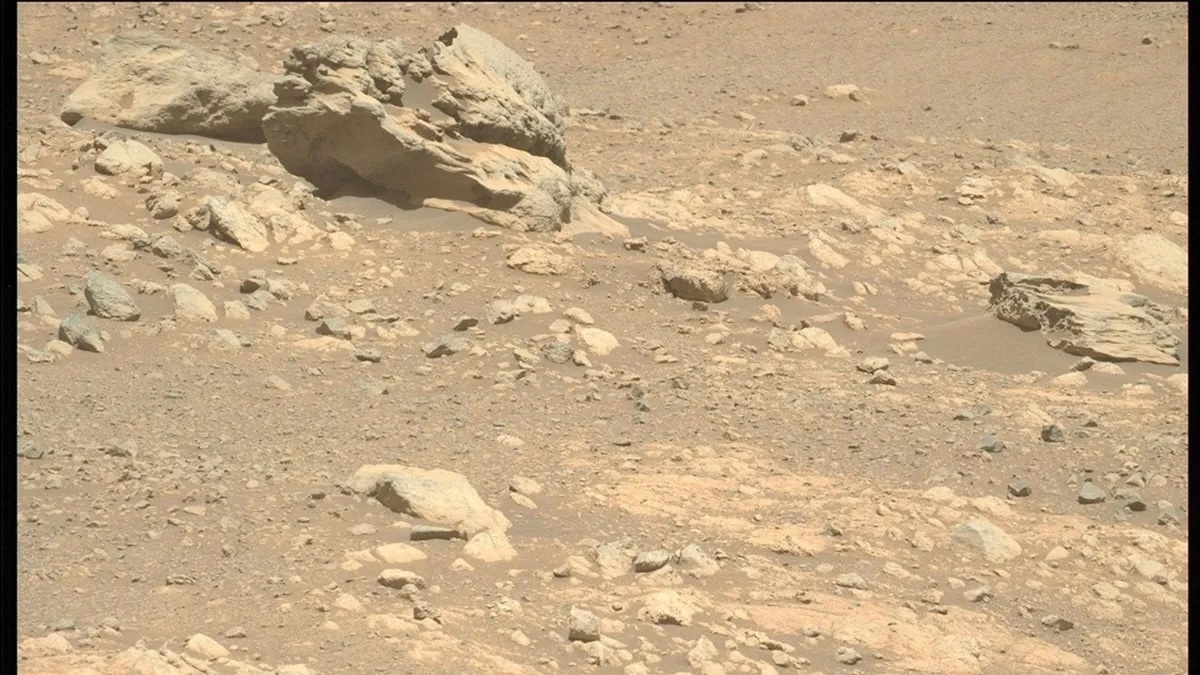 mlvjarnwjkkgqcb5pzh5w9-1200-80