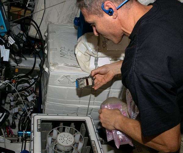 nasa-astronaut-michael-scott-hopkins-microgravity-experiment-iss-hg
